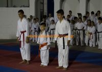 karate (54) (Αντιγραφή)